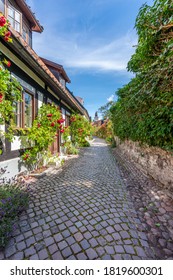 Beautiful Summer View Of The Famous Narrow Cobblestone Street With Surrounding Rose Bushes And Buildings In Visby Gotland Sweden.