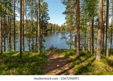 Beautiful summer view from a lake in a pine and fir forest in Sweden - Powered by Shutterstock