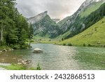 Beautiful summer view on lake Seealpsee in the Swiss alps.. Cloudy sky. Wonderful hiking spot. Alpine lake with high mountains. Pine trees. Appezell mountains in Switzerland.