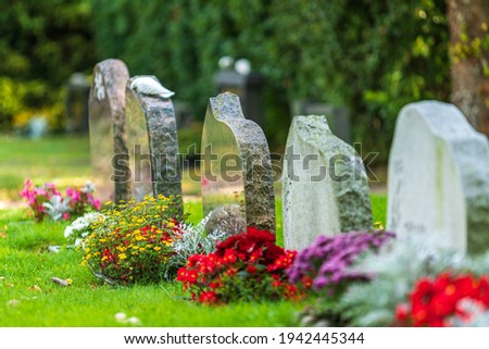 Beautiful summer view of a row of gravestones decorated with colorful flowers at a well-cared cemetery in Sweden