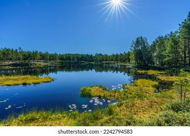 Beautiful summer view from a small and mirror like lake in the Swedish countryside with a clear blue sky and a bright sun with rays