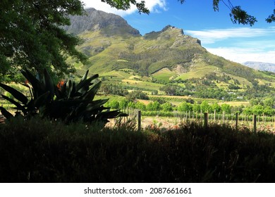 Beautiful summer views of the Simonsberg Mountain and surrounding landscapes, taken from the Helshoogte Pass between Stellenbosch and Franschoek in the Western Cape Province of South Africa. - Shutterstock ID 2087661661