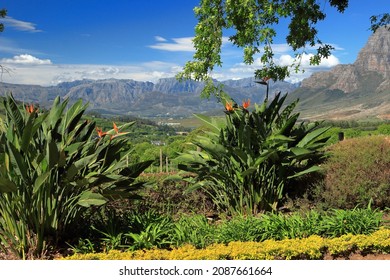 Beautiful summer views of the Simonsberg Mountain and surrounding landscapes, taken from the Helshoogte Pass between Stellenbosch and Franschoek in the Western Cape Province of South Africa. - Shutterstock ID 2087661664