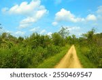 Beautiful Sumner landscape of the Military Ridge State Trail passing through lush greenery beneath a blue sky and white clouds near Mount Horeb, WI.