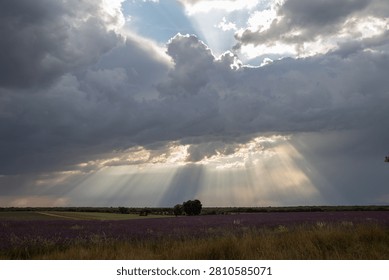 Beautiful sun rays breaking through dark storm clouds over a dramatic rural landscape field.