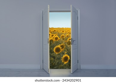 Beautiful sunflower field visible through open door