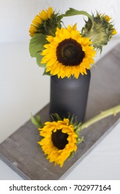 Beautiful sunflower on white background - Interior Design - Shutterstock ID 702977164