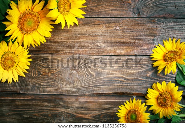 Beautiful Sunflowers On Wooden Table View Stock Photo 1135256756 ...