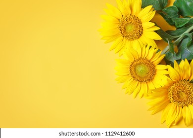 ひまわり の画像 写真素材 ベクター画像 Shutterstock