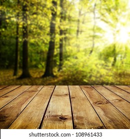 Beautiful sunlight in the autumn forest with wood planks floor
