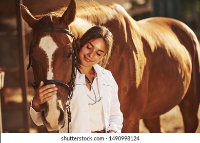 Beautiful sunlight. Female vet examining horse outdoors at the farm at daytime. - Powered by Shutterstock