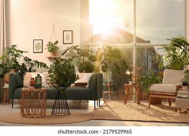 Beautiful sunlit living room with stylish sofa and different houseplants - Powered by Shutterstock