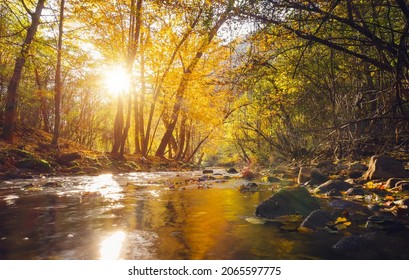Beautiful sunlit river in woods autumn landscape