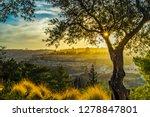 Beautiful sunlit view of Jerusalem