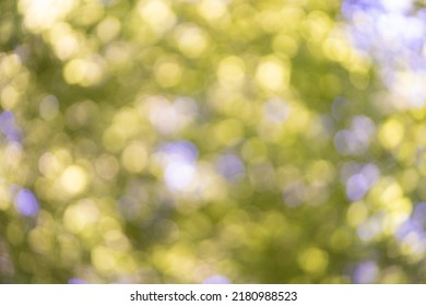 Beautiful Sunny Bokeh Background - Green Wallpaper