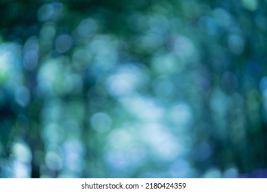 Beautiful Sunny Bokeh Background - Bokeh Wallpaper