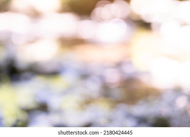 Beautiful Sunny Bokeh Background - Bokeh Wallpaper