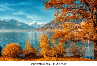 Beautiful Sunny Day In Alps. Wonderlust View Of Highland Lake With Autumn Trees Under Sunlight And Perfect Sky. Landscape With Alps And Zeller See In Zell Am See, Salzburger Land, Austria