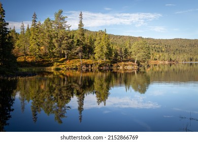 Beautiful Sunny Day In Bymarka Forest Area Near Trondheim, Norway. View On Skjellbreia Lake.