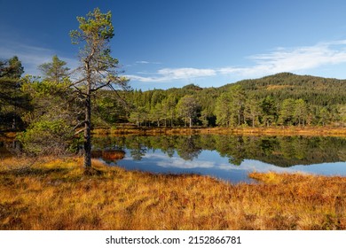 Beautiful Sunny Day In Bymarka Forest Area Near Trondheim, Norway. View On Skjellbreia Lake.