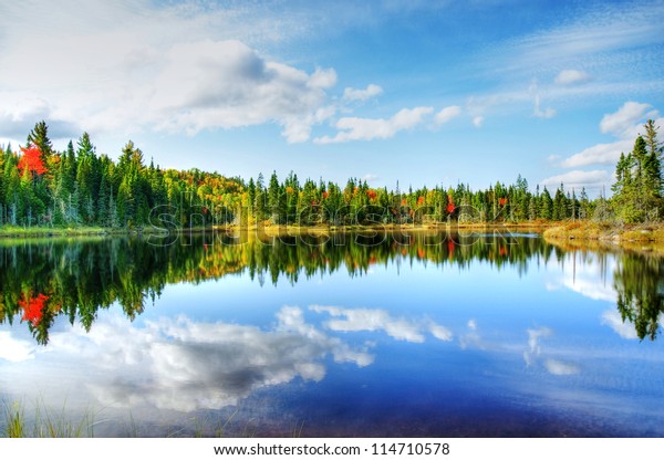 Beautiful Sunny Day During Fall Northern Stock Photo (Edit Now) 114710578