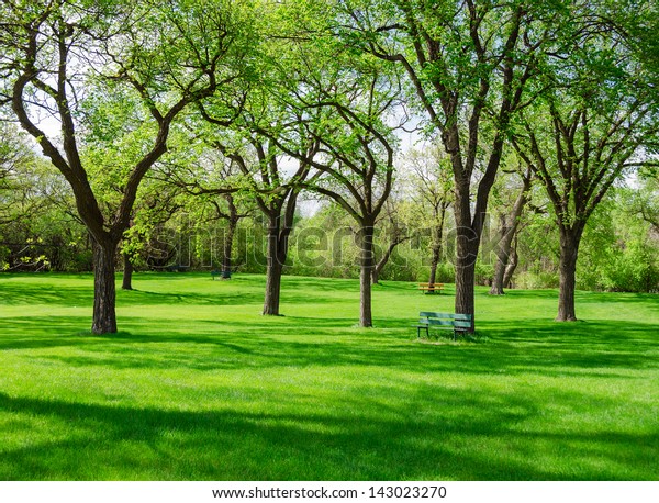 Beautiful Sunny Day Park Spring Time Stock Photo (Edit Now) 143023270