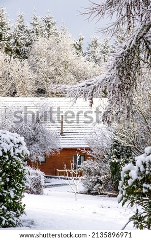 Similar – Foto Bild Versteckt II Garten Natur