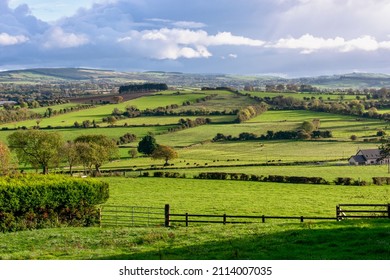 Beautiful Sunny at Green Irish Countryside - Shutterstock ID 2114007035