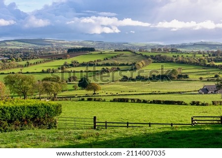 Beautiful Sunny at Green Irish Countryside