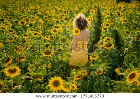 Beautiful sunny heel girl in a field with sunflowers