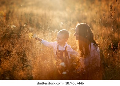 Beautiful sunny photo of motherhood, Caucasian mom with long hair in summer at sunset in the grass with her son toddler. Back light, soft focus and toning