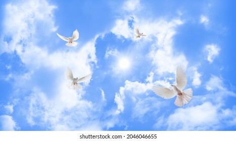 Beautiful sunny sky. flying white doves. 3d ceiling decoration image. sky bottom up view