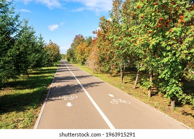 Beautiful Sunny Summer Day. Two-way Asphalt Bike Path In The Urban Park In Perspective, No People.