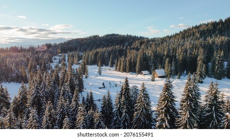 Beautiful Sunrise From Above In Triglav National Park Pokljuka With Fresh Snow