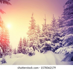 beautiful sunrise at Christmas morning  - Shutterstock ID 1578362179
