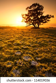 Beautiful Sunrise In The Clare Valley, South Australia