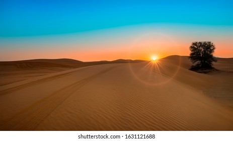 Beautiful sunrise at the desert and a lone tree