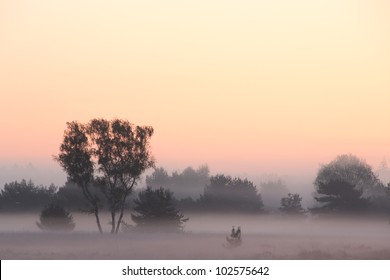Beautiful Sunrise In A Foggy Landscape