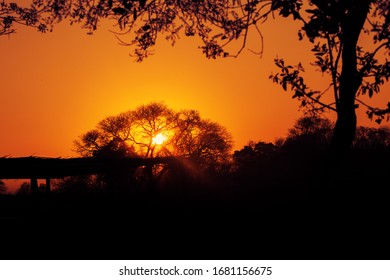 Beautiful Sunrise In Kafue National Park