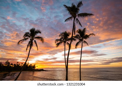 A Beautiful Sunrise In Kauai Hawaii.