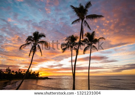 A beautiful sunrise in Kauai Hawaii.