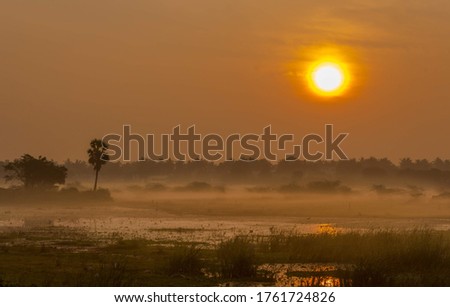 Beautiful Sunrise in the Mist marshland landscape. Colored sunrise with water reflections and fog. golden light background.