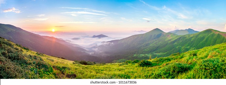 Beautiful sunrise in mountains with white fog below panorama - Shutterstock ID 1011673036