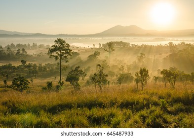 Beautiful sunrise at national park called "Thung Salaeng Luang" Beautiful forest landscape of foggy sunrise in Thung salaeng Luang National Park (Nong Mae na), Thailand. beautiful misty morning. - Powered by Shutterstock