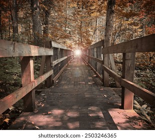 Beautiful sunrise on the hiking path in the forest in autumn. - Powered by Shutterstock