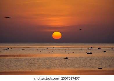 Beautiful sunrise on Red Sea, Marsa Alam, Egypt, July 2023 - outline of the boat, umbrellas, beach, chillout in the morning. Silhouettes of people against the background of sunrise - Powered by Shutterstock