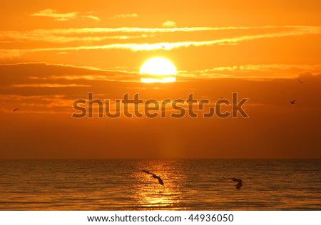 A Beautiful Sunrise On Sanibel Island Florida