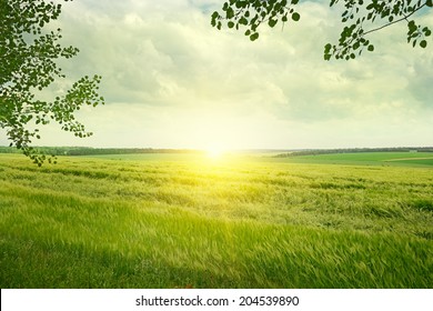 Beautiful Sunrise  On Spring Field