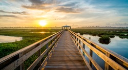  A Beautiful Sunrise Over The Wetlands Along A Boardwalk. The Cattail Marsh Boardwalk - Beaumont, Texas