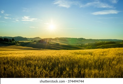 Beautiful sunrise over yellow tuscan country fields